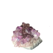 Amethyst Cluster