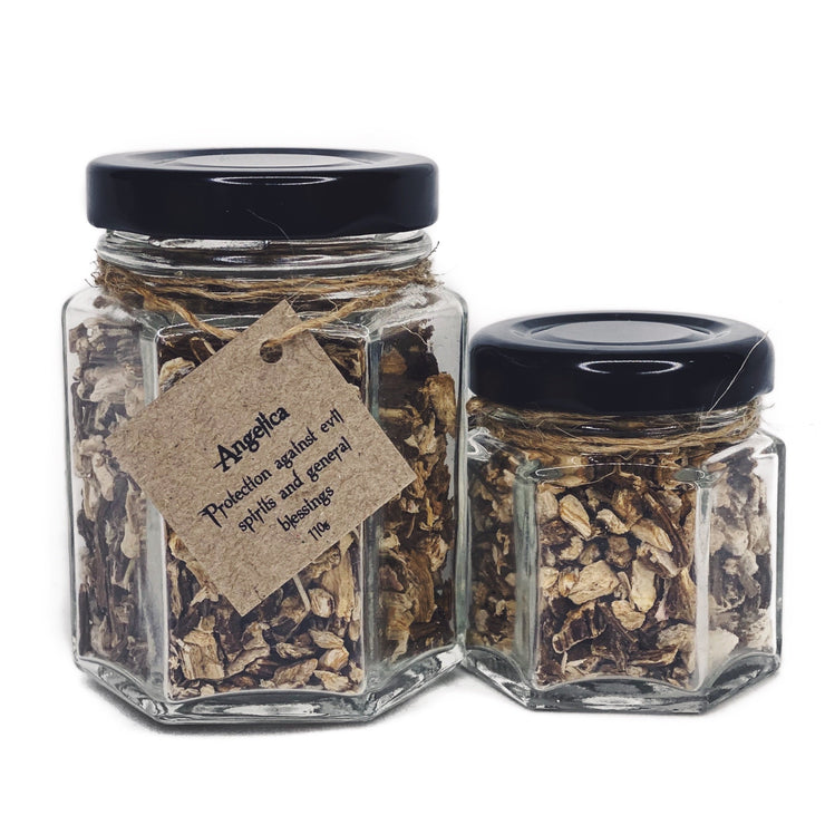 Herb - Angelica