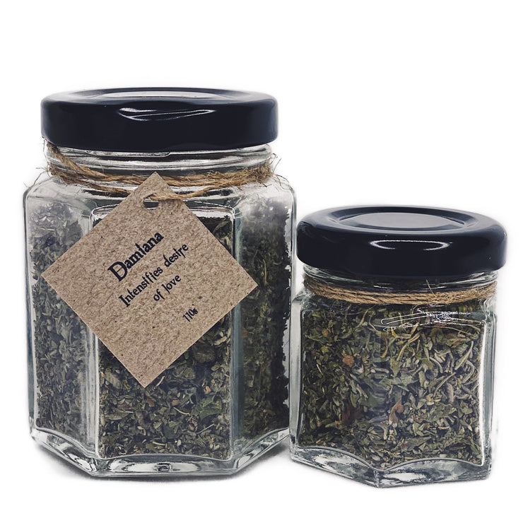 Herb - Damiana
